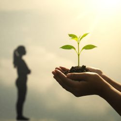 Conceptual Image Representing Inner Growth and Building Self-Confidence