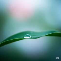 Conceptual Image Representing Gentle and Mindful Approach to Skincare for Sensitive Skin
