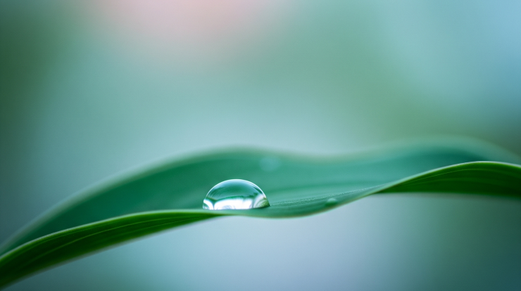 Conceptual Image Representing Gentle and Mindful Approach to Skincare for Sensitive Skin